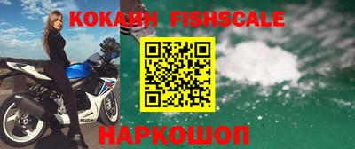 прущие крисы Моздок