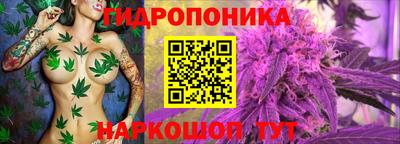 прущие крисы Моздок