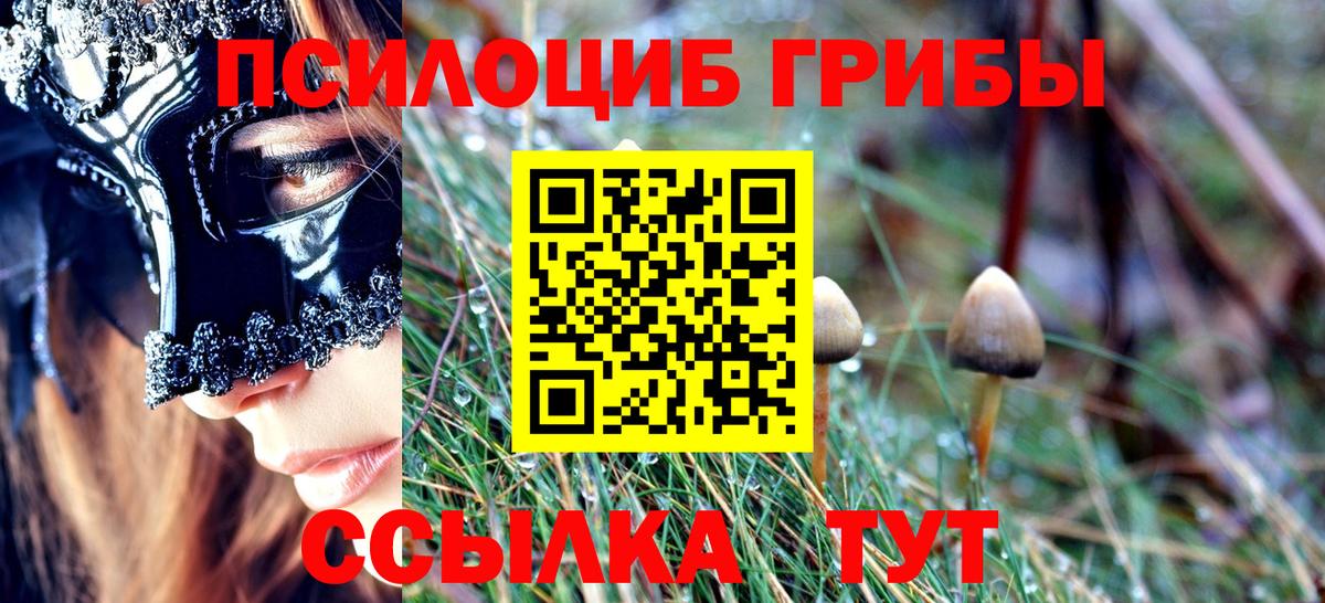 Галлюциногенные грибы MAGIC MUSHROOMS  Вход с VPN  Псилоцибиновые грибы ЛСД  Ртищево 